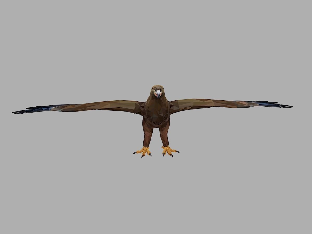 Eagle Low Polygon Art Bird Animal Low-poly 3D model_1