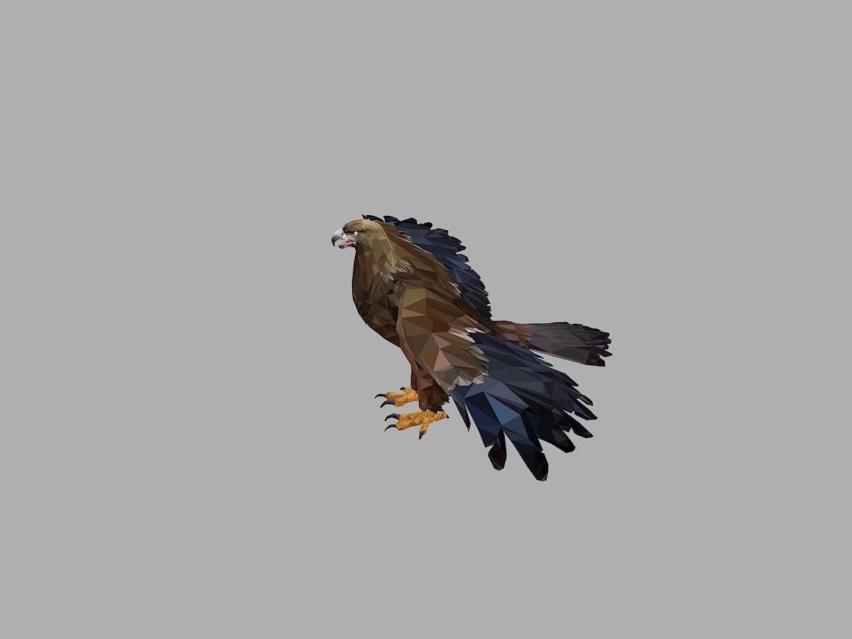 Eagle Low Polygon Art Bird Animal Low-poly 3D model_2