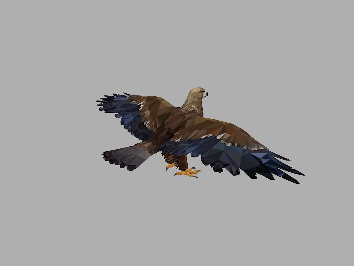 Eagle Low Polygon Art Bird Animal Low-poly 3D model_7
