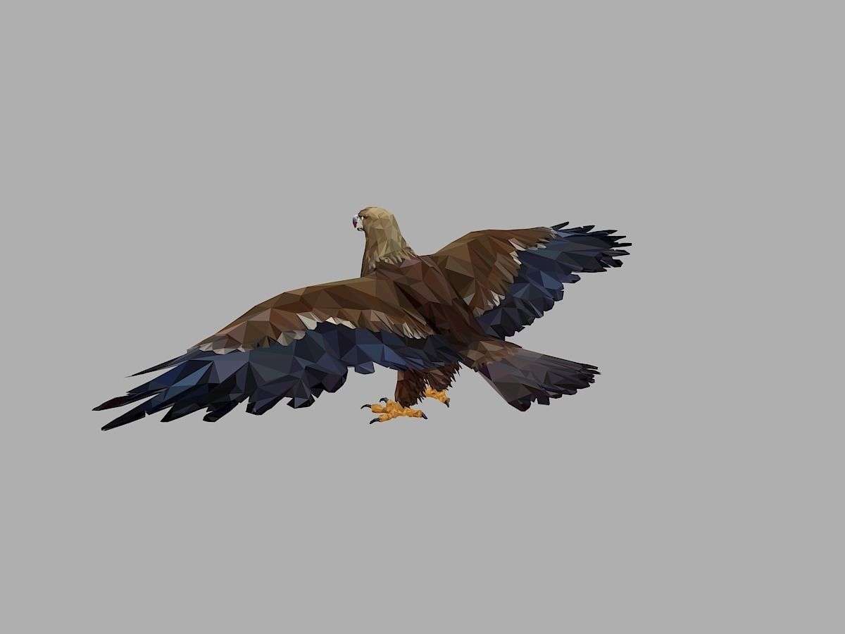 Eagle Low Polygon Art Bird Animal Low-poly 3D model_5
