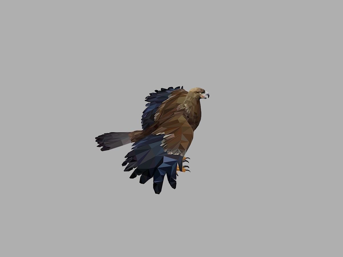 Eagle Low Polygon Art Bird Animal Low-poly 3D model_10
