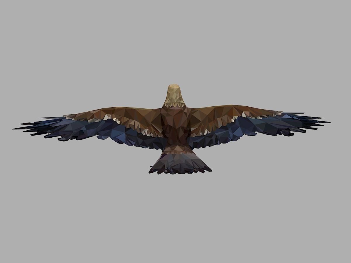 Eagle Low Polygon Art Bird Animal Low-poly 3D model_6