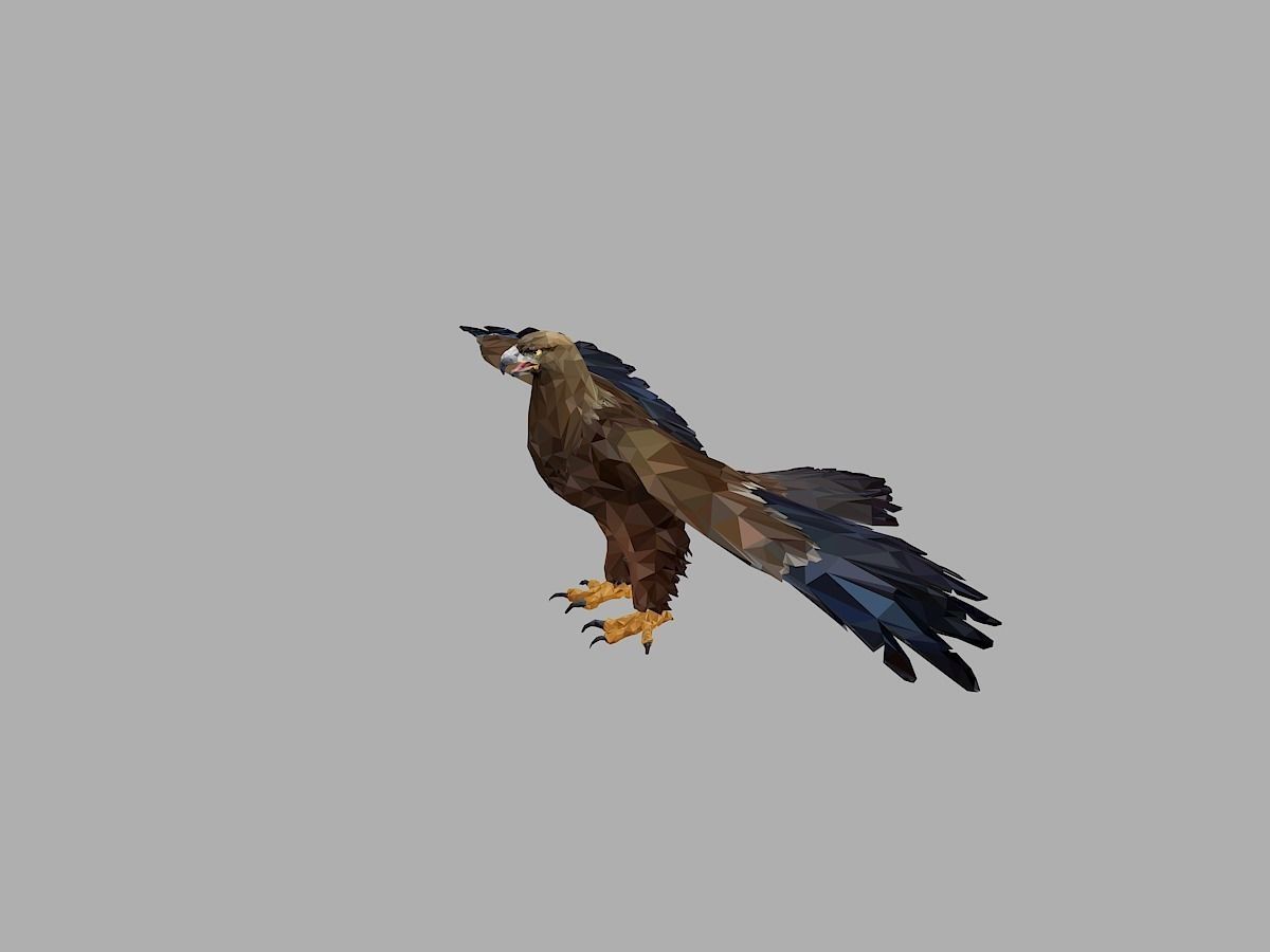 Eagle Low Polygon Art Bird Animal Low-poly 3D model_3