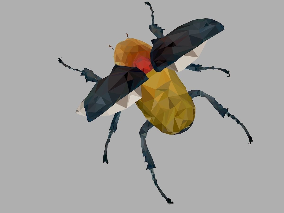 Rhinoceros Beetle Low Polygon Art Insect Low-poly 3D model_0