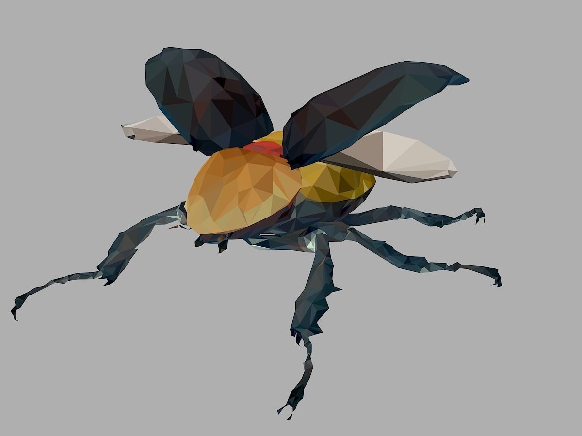Rhinoceros Beetle Low Polygon Art Insect Low-poly 3D model_5