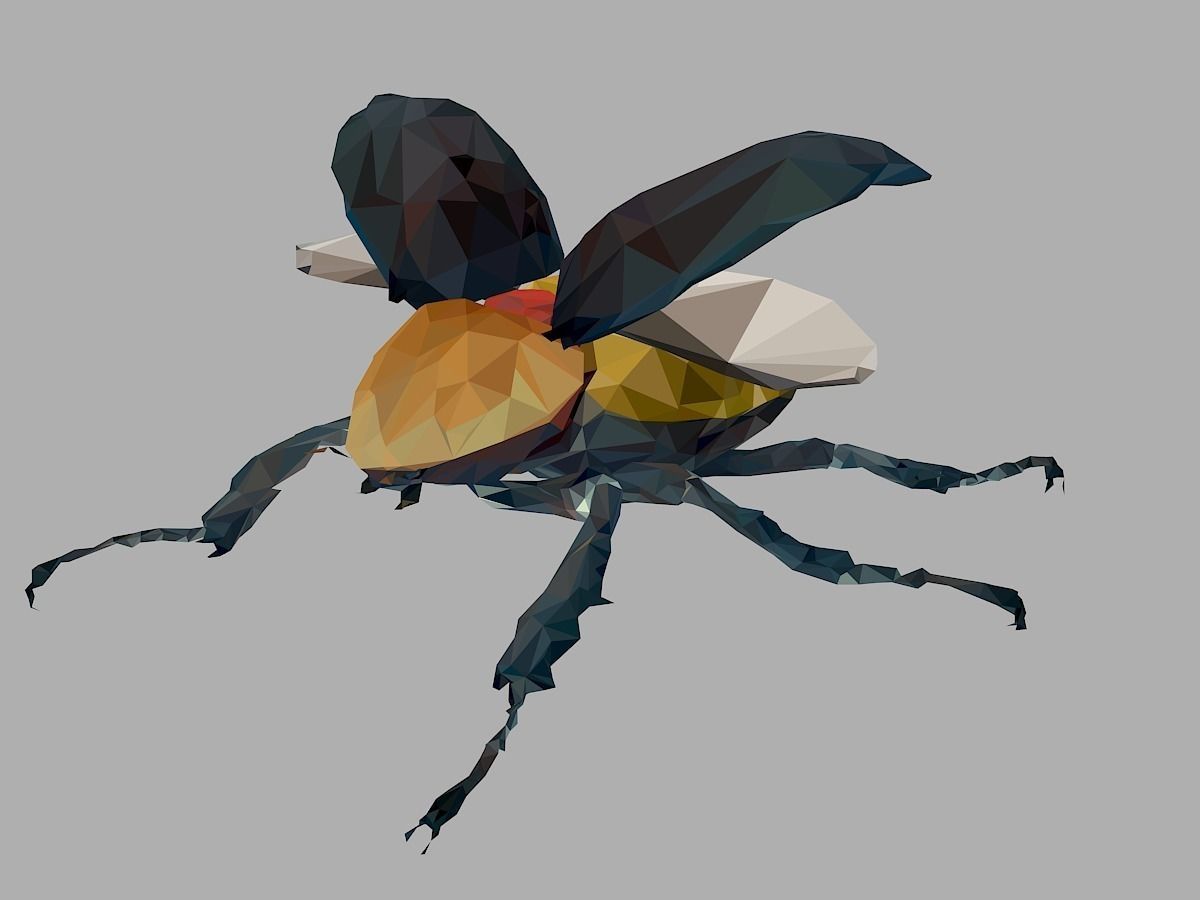 Rhinoceros Beetle Low Polygon Art Insect Low-poly 3D model_7