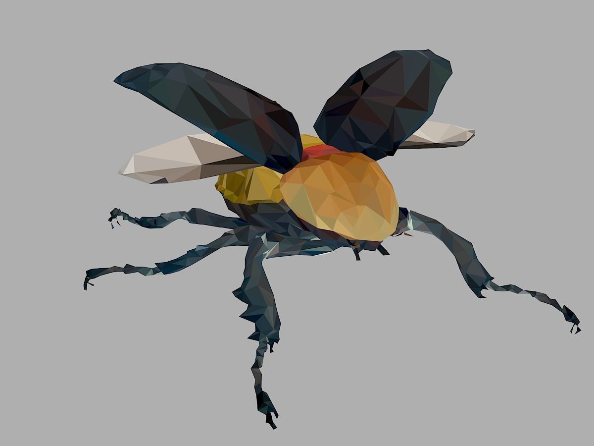 Rhinoceros Beetle Low Polygon Art Insect Low-poly 3D model_6