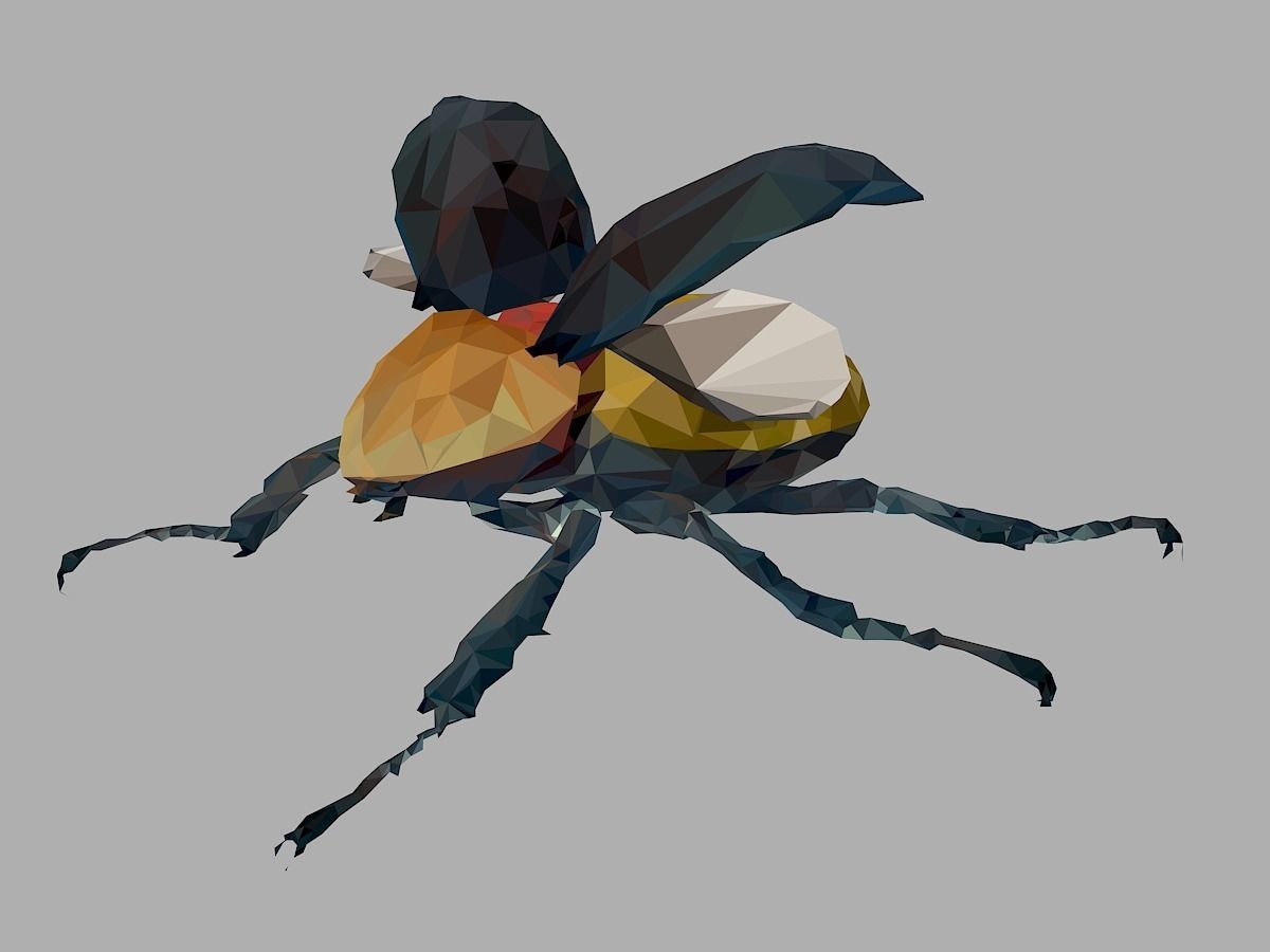 Rhinoceros Beetle Low Polygon Art Insect Low-poly 3D model_8