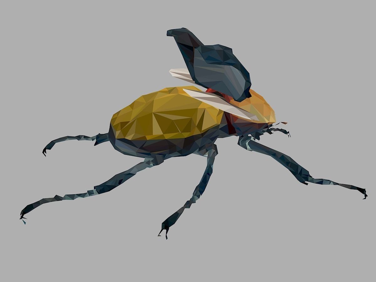 Rhinoceros Beetle Low Polygon Art Insect Low-poly 3D model_25