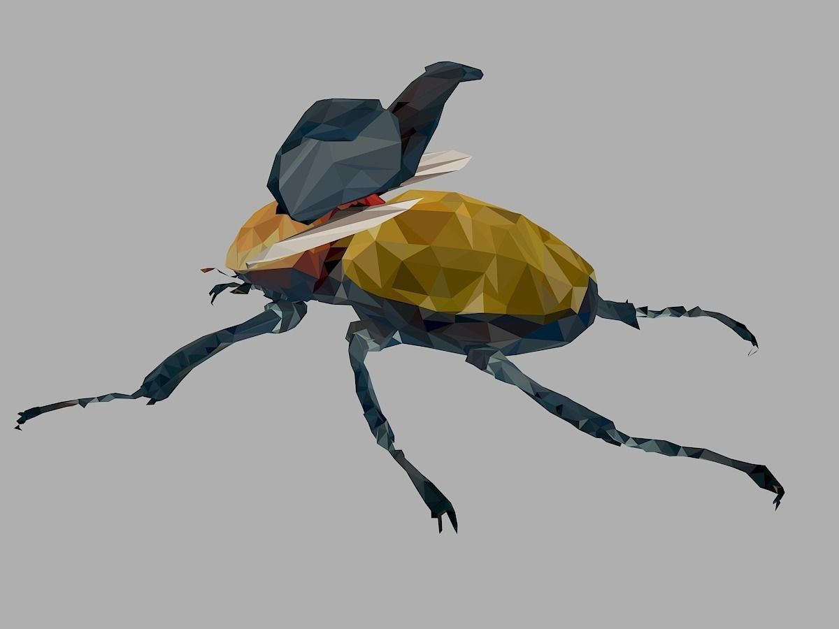 Rhinoceros Beetle Low Polygon Art Insect Low-poly 3D model_11