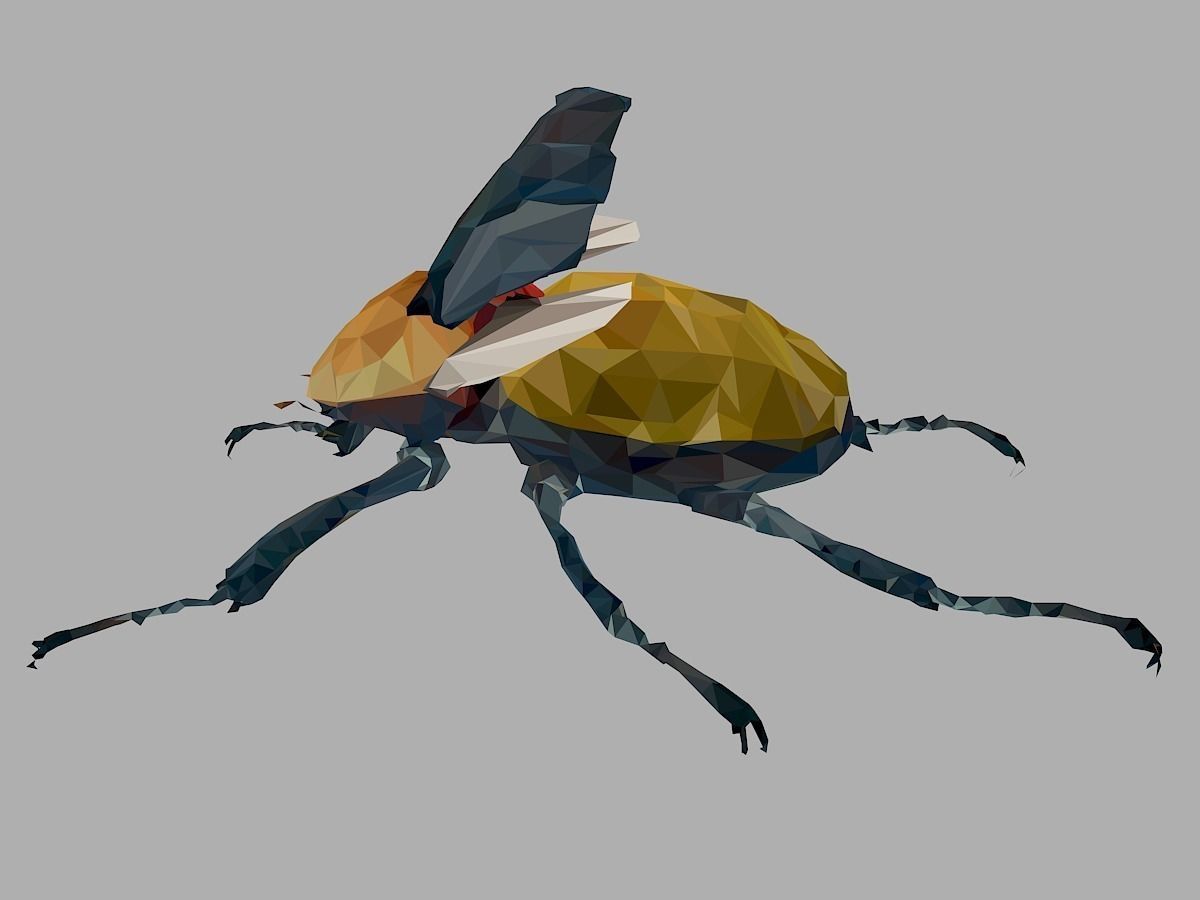 Rhinoceros Beetle Low Polygon Art Insect Low-poly 3D model_10
