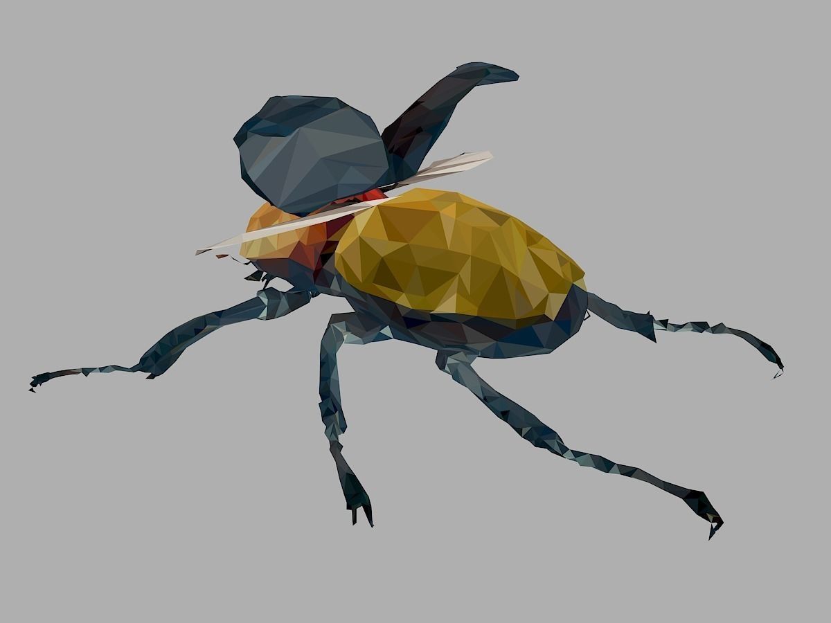 Rhinoceros Beetle Low Polygon Art Insect Low-poly 3D model_13
