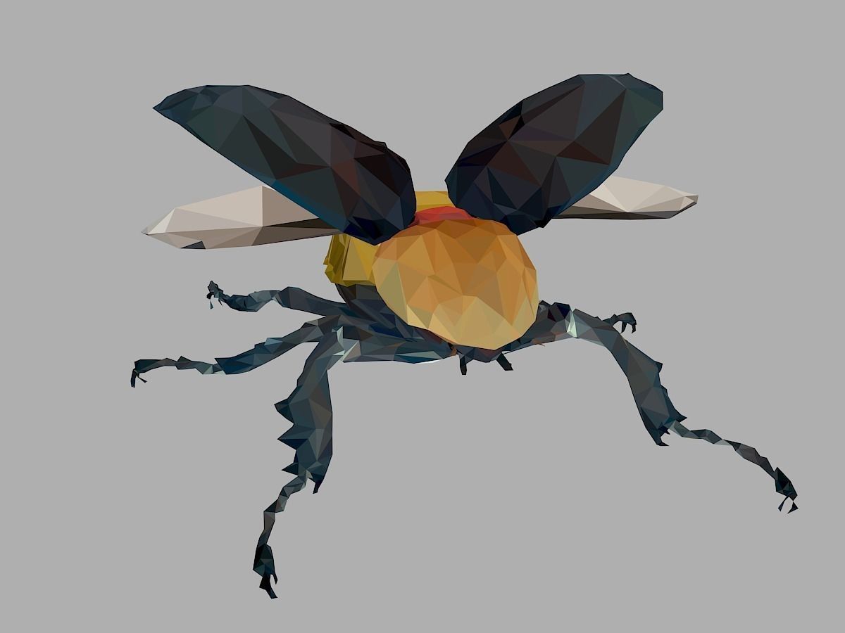 Rhinoceros Beetle Low Polygon Art Insect Low-poly 3D model_3
