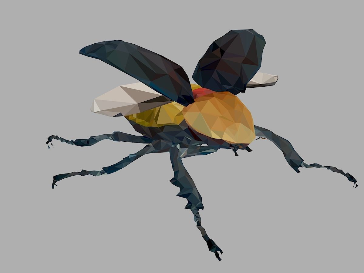 Rhinoceros Beetle Low Polygon Art Insect Low-poly 3D model_29