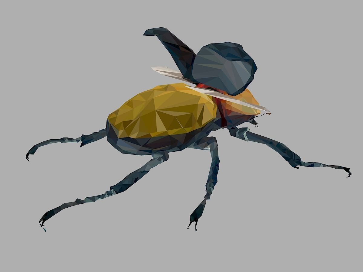 Rhinoceros Beetle Low Polygon Art Insect Low-poly 3D model_24