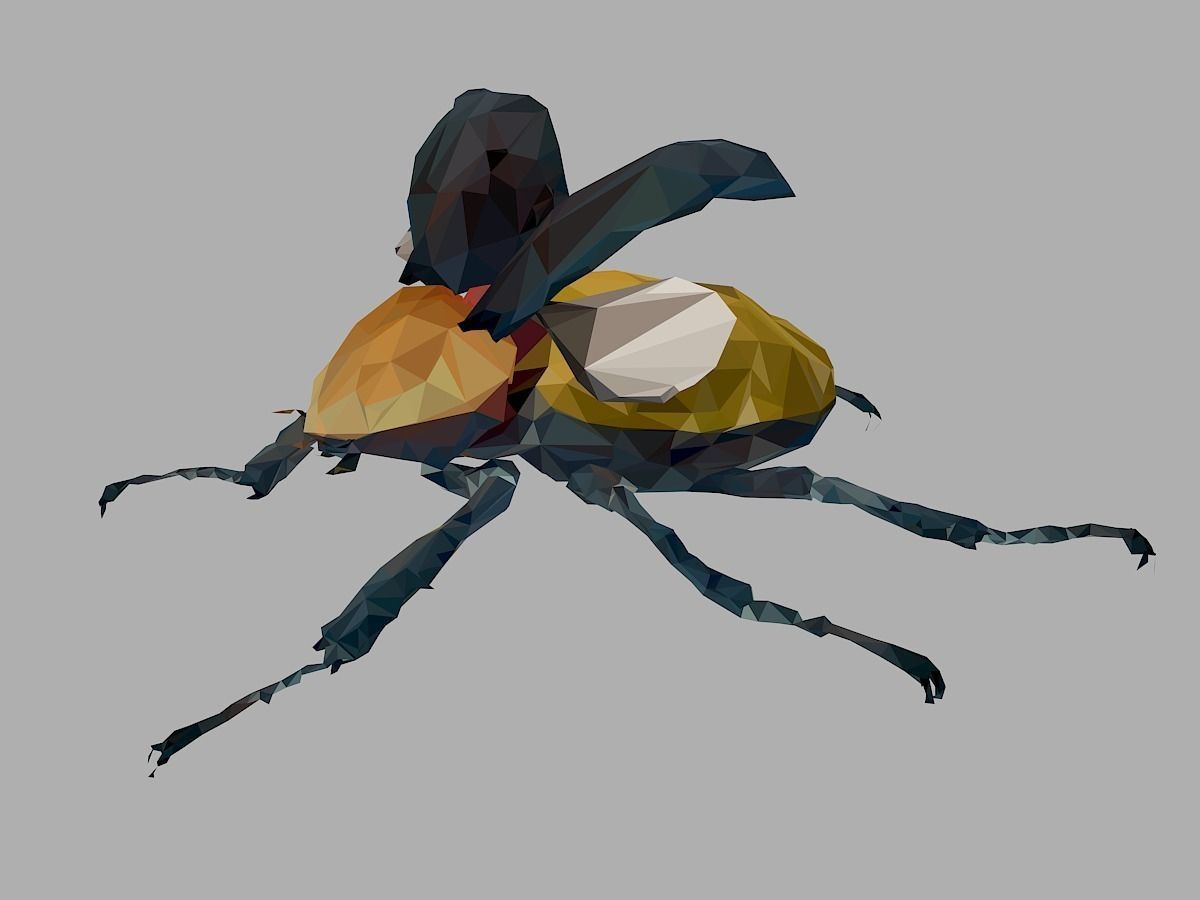 Rhinoceros Beetle Low Polygon Art Insect Low-poly 3D model_9
