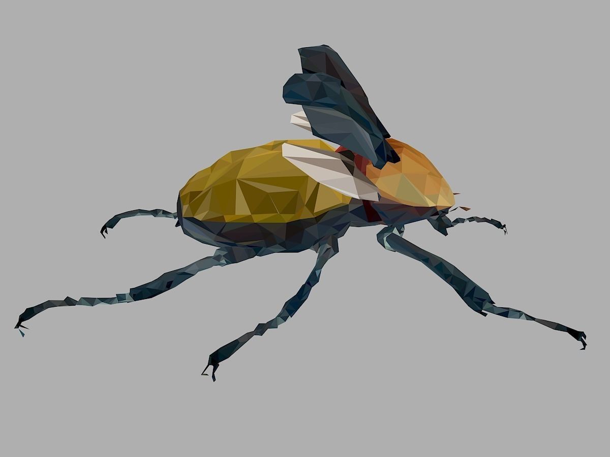 Rhinoceros Beetle Low Polygon Art Insect Low-poly 3D model_26