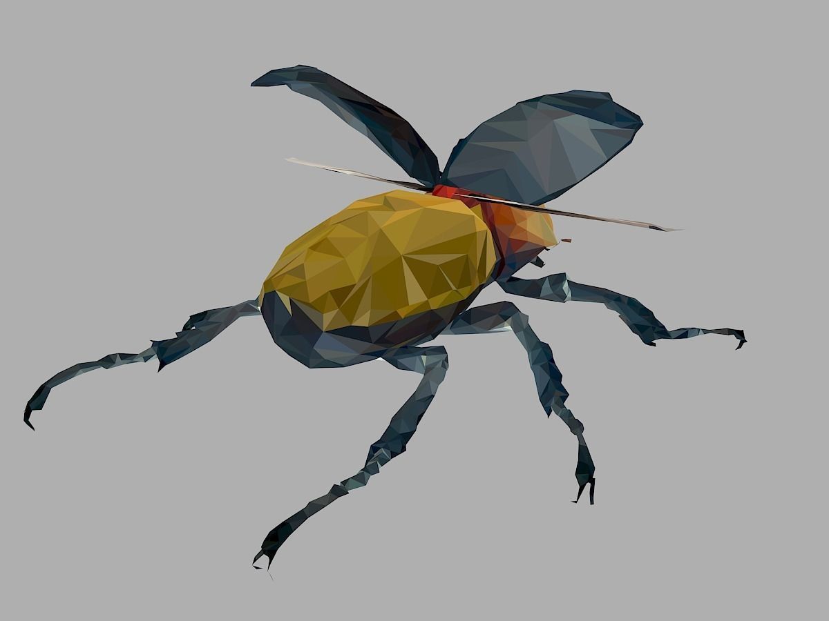 Rhinoceros Beetle Low Polygon Art Insect Low-poly 3D model_21