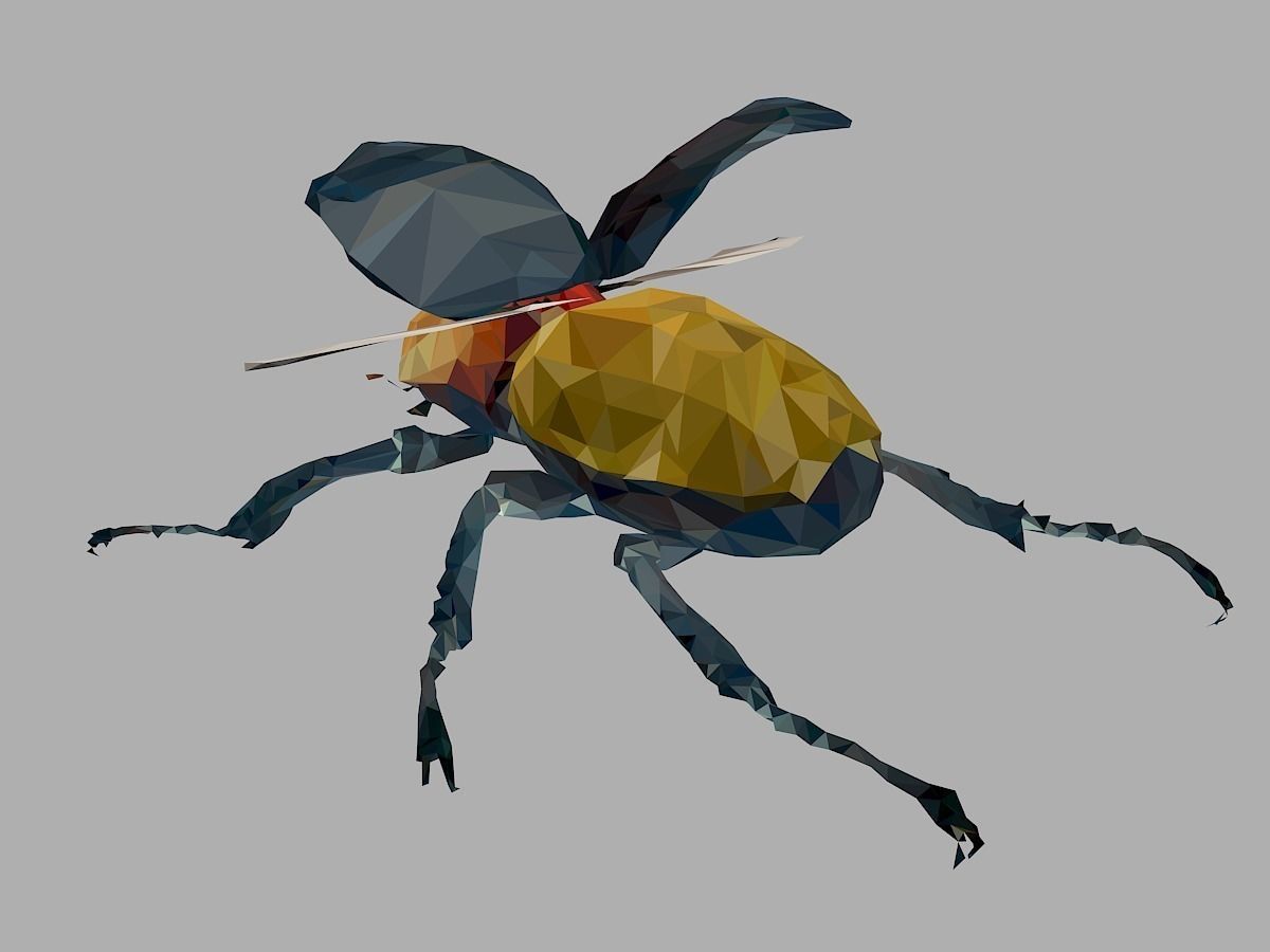 Rhinoceros Beetle Low Polygon Art Insect Low-poly 3D model_14