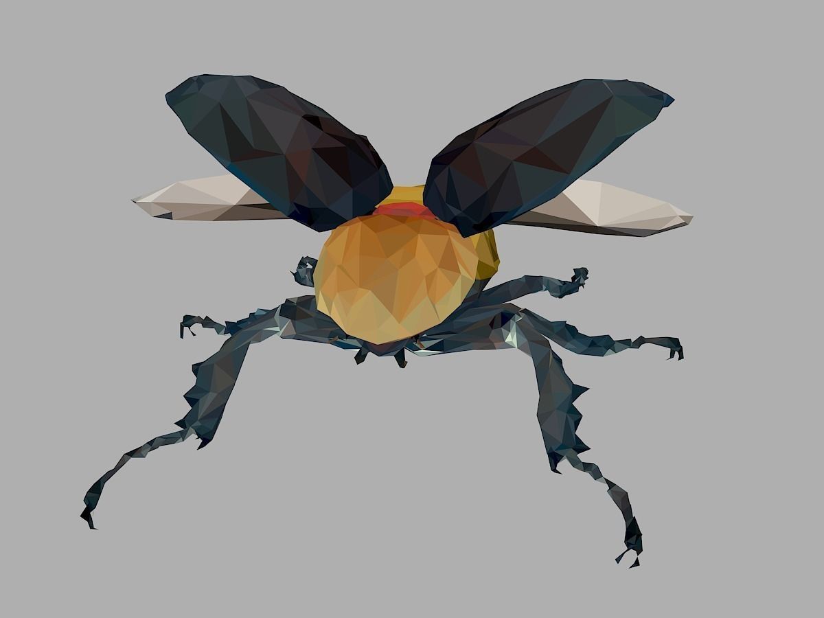 Rhinoceros Beetle Low Polygon Art Insect Low-poly 3D model_1