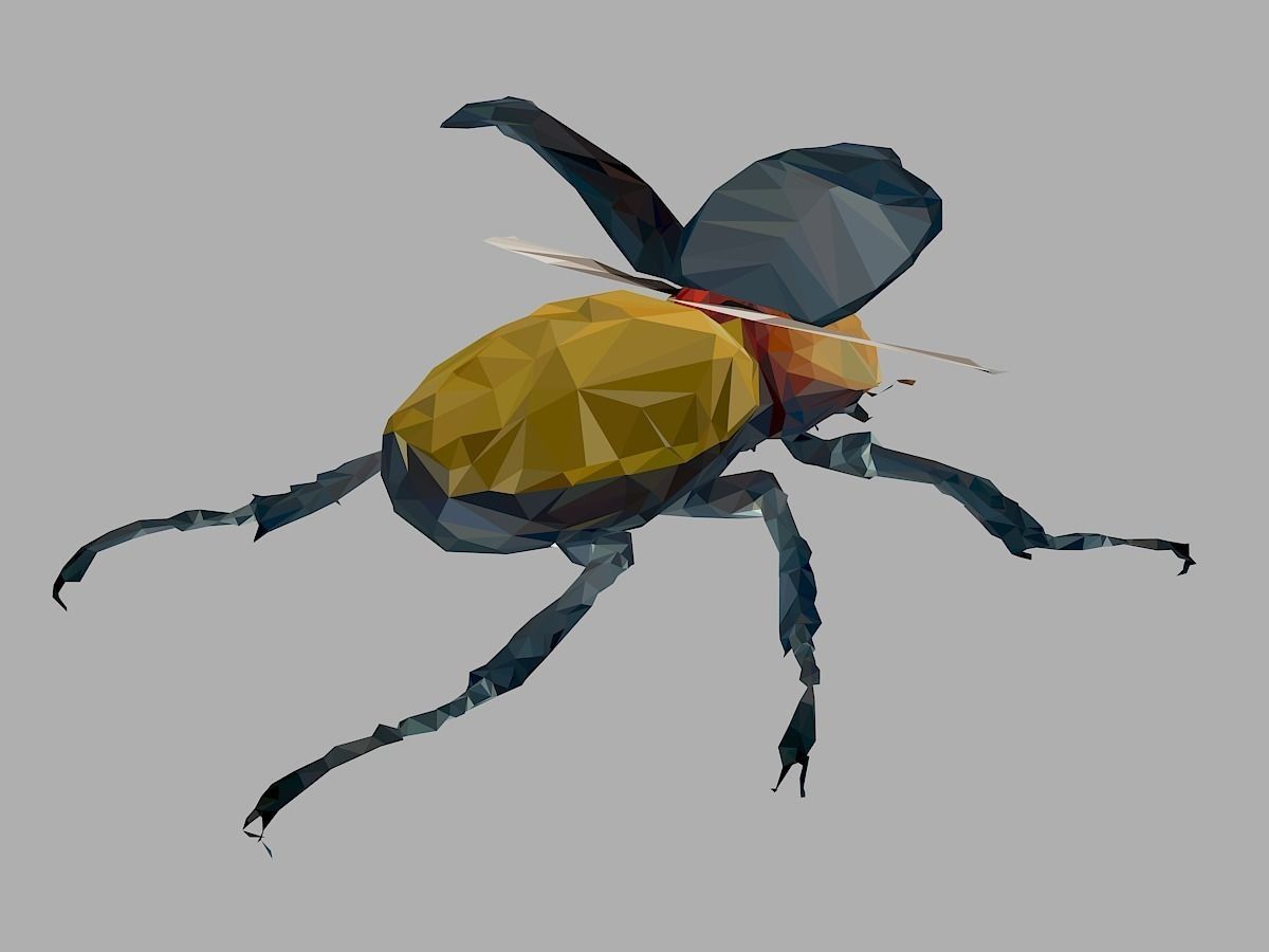Rhinoceros Beetle Low Polygon Art Insect Low-poly 3D model_22