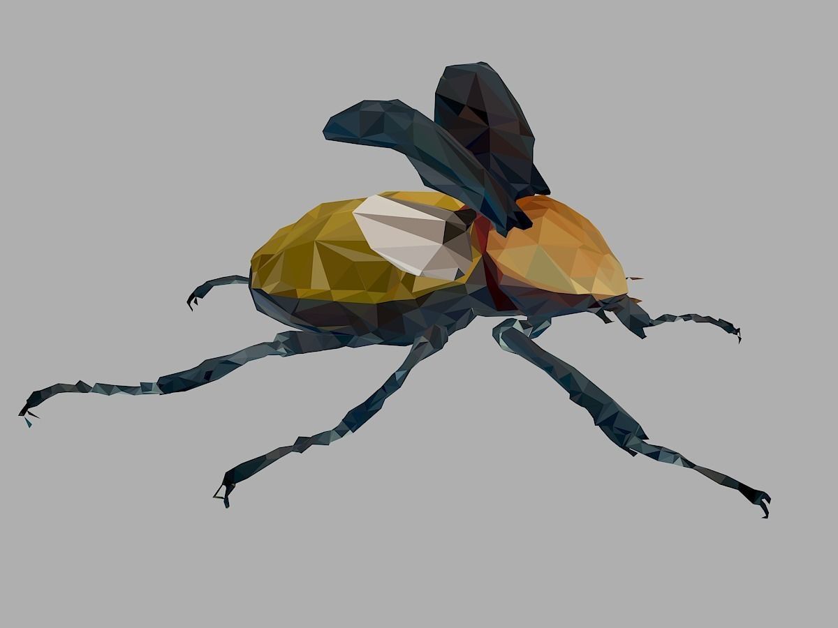 Rhinoceros Beetle Low Polygon Art Insect Low-poly 3D model_27