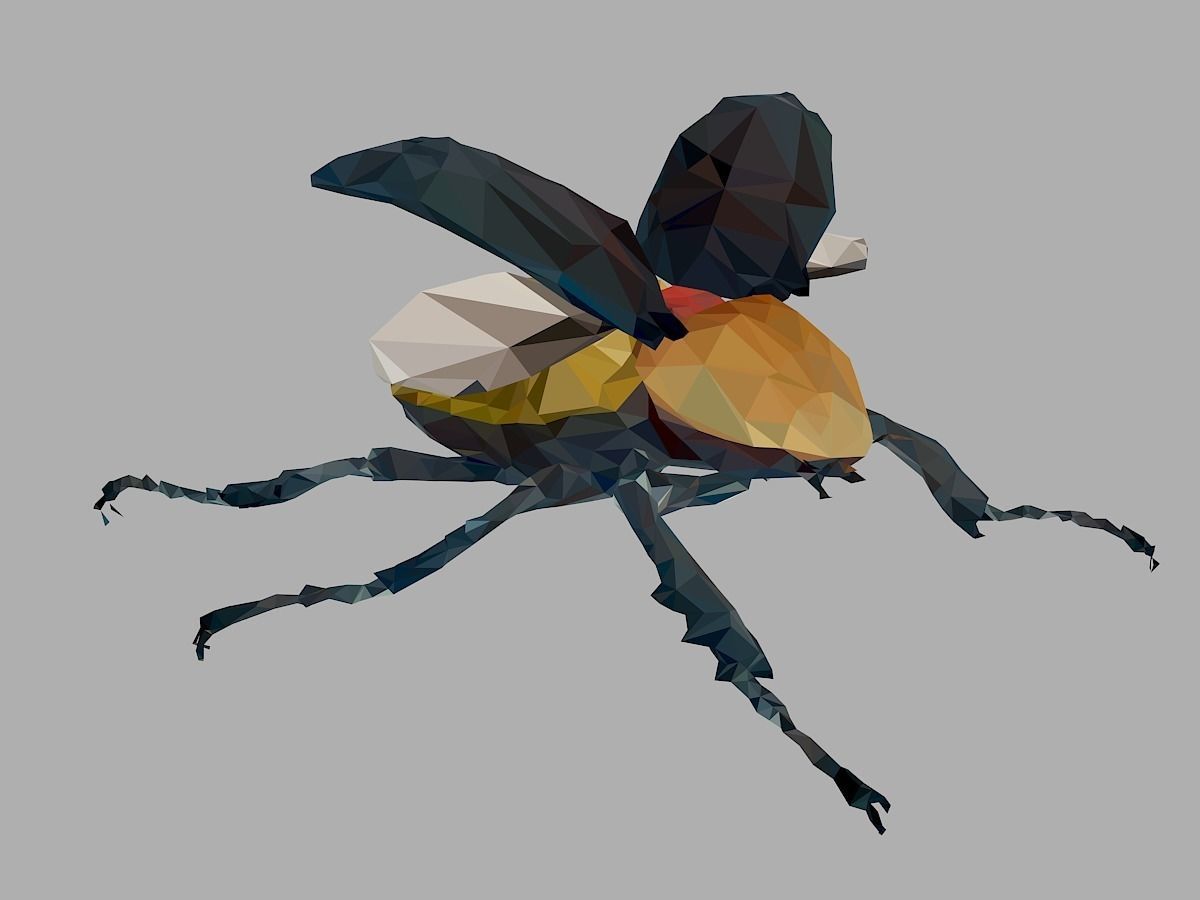 Rhinoceros Beetle Low Polygon Art Insect Low-poly 3D model_28