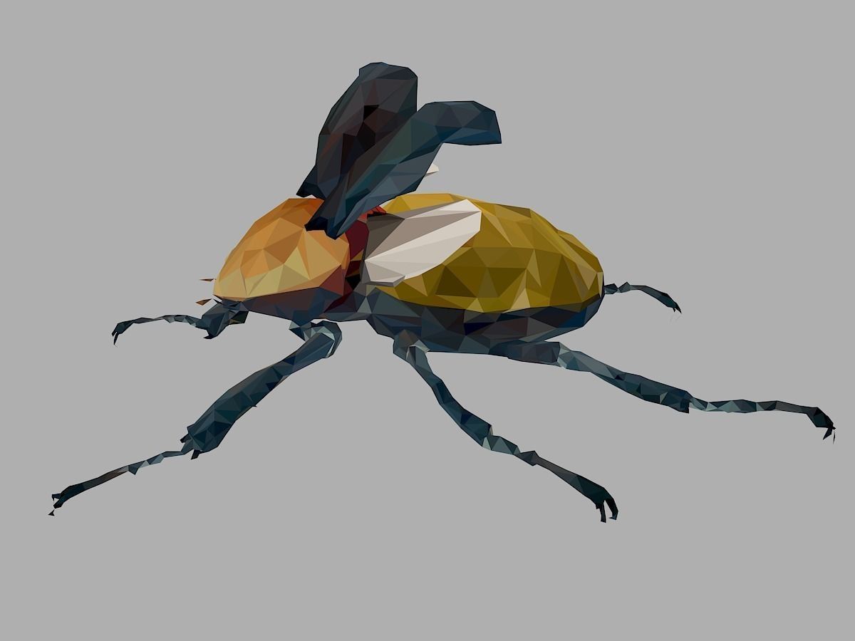Rhinoceros Beetle Low Polygon Art Insect Low-poly 3D model_12