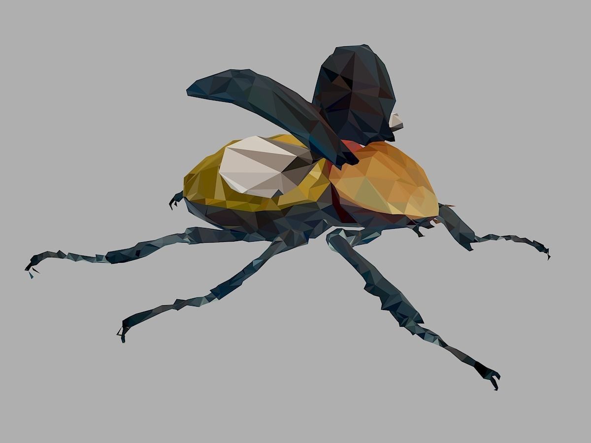Rhinoceros Beetle Low Polygon Art Insect Low-poly 3D model_30