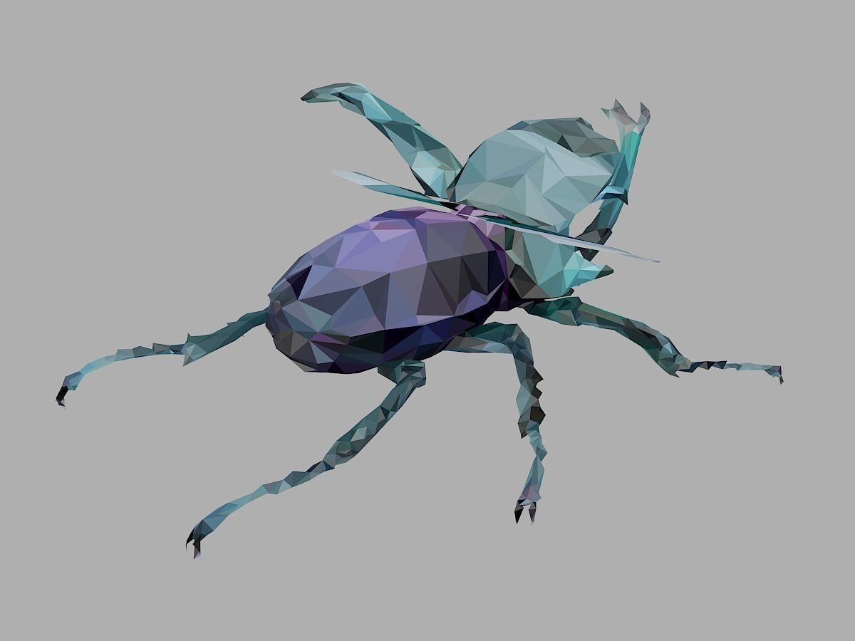 Chafer Firefly Beetle Low Polygon Art Insect Low-poly 3D model_24