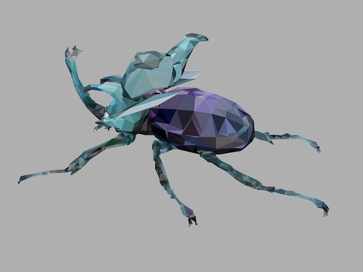 Chafer Firefly Beetle Low Polygon Art Insect Low-poly 3D model_12