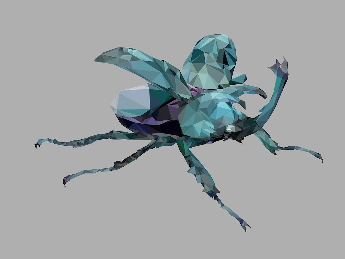Chafer Firefly Beetle Low Polygon Art Insect Low-poly 3D model_29