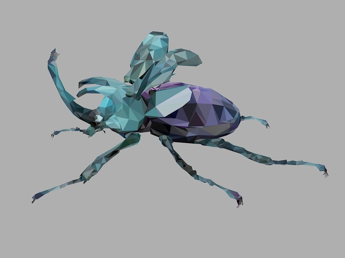 Chafer Firefly Beetle Low Polygon Art Insect Low-poly 3D model_8