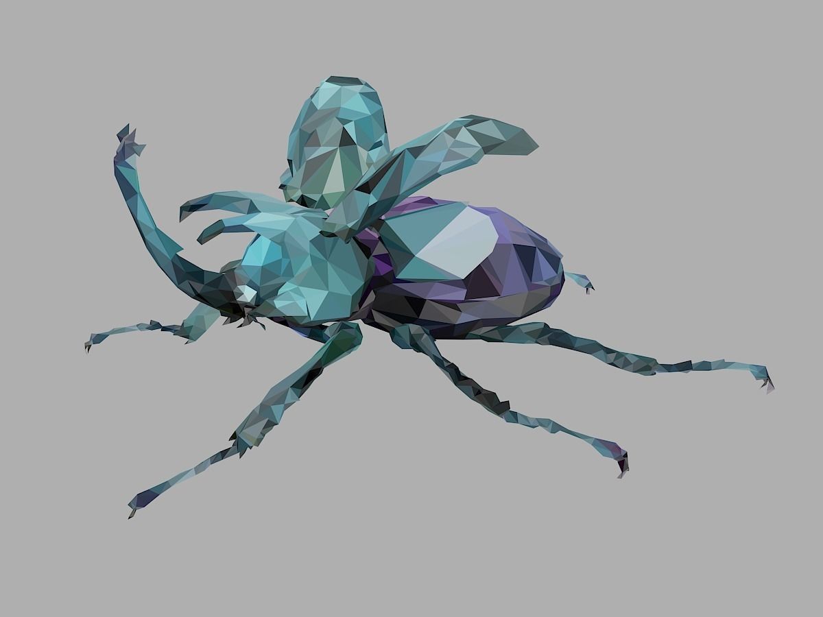 Chafer Firefly Beetle Low Polygon Art Insect Low-poly 3D model_10