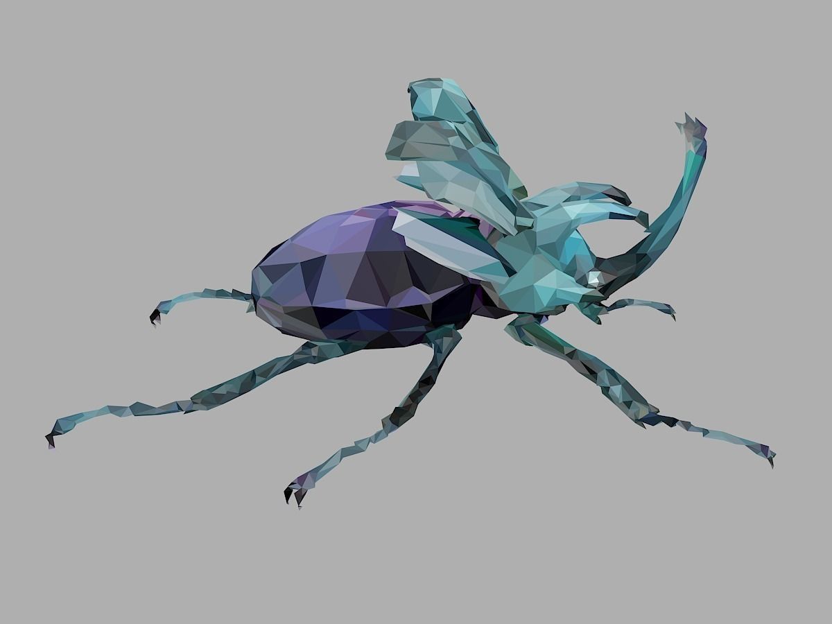 Chafer Firefly Beetle Low Polygon Art Insect Low-poly 3D model_26