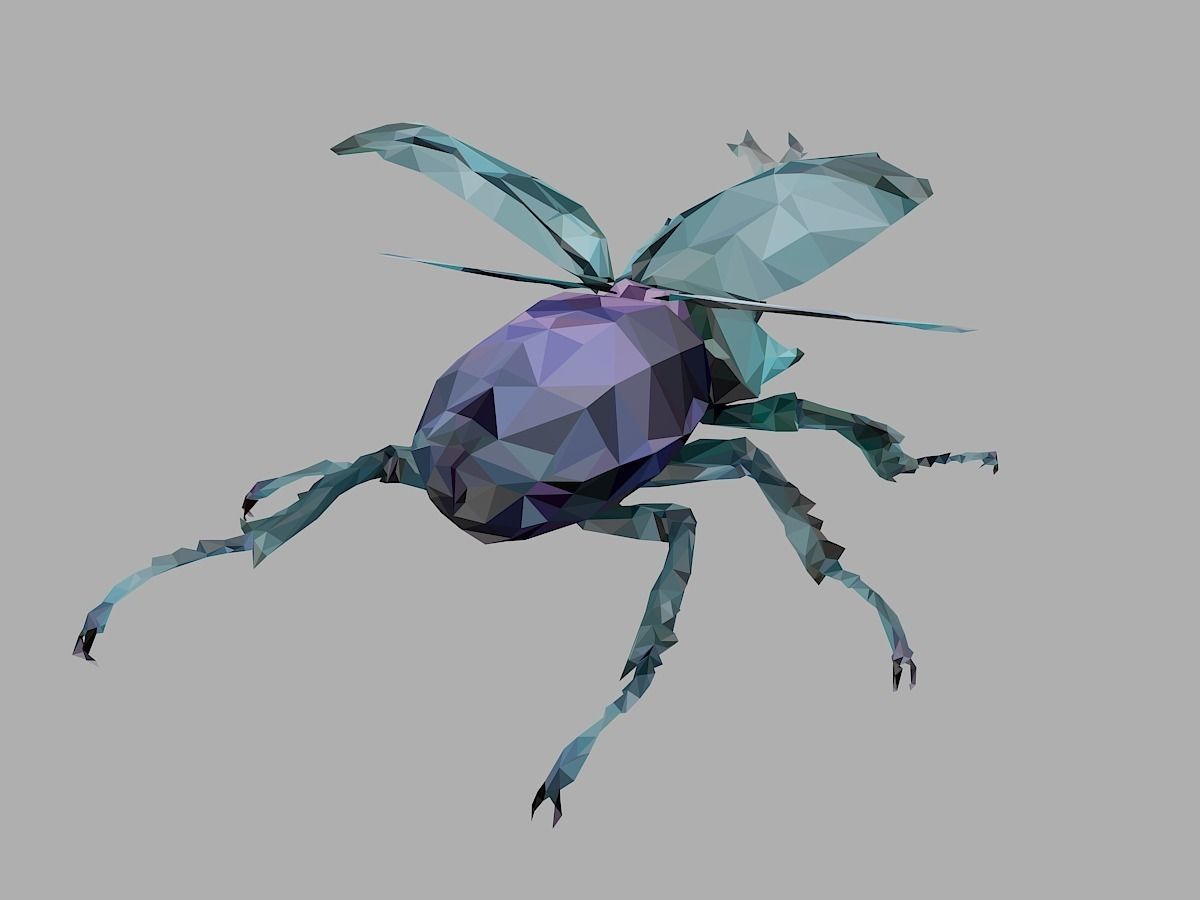 Chafer Firefly Beetle Low Polygon Art Insect Low-poly 3D model_20