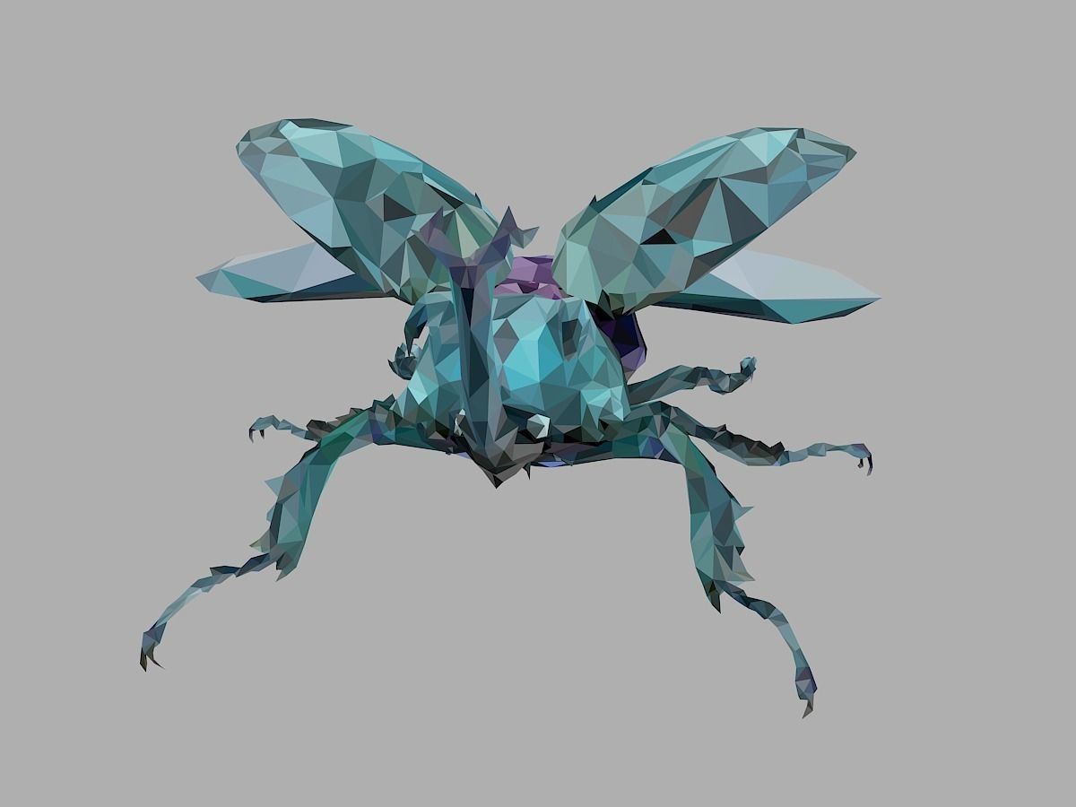 Chafer Firefly Beetle Low Polygon Art Insect Low-poly 3D model_2