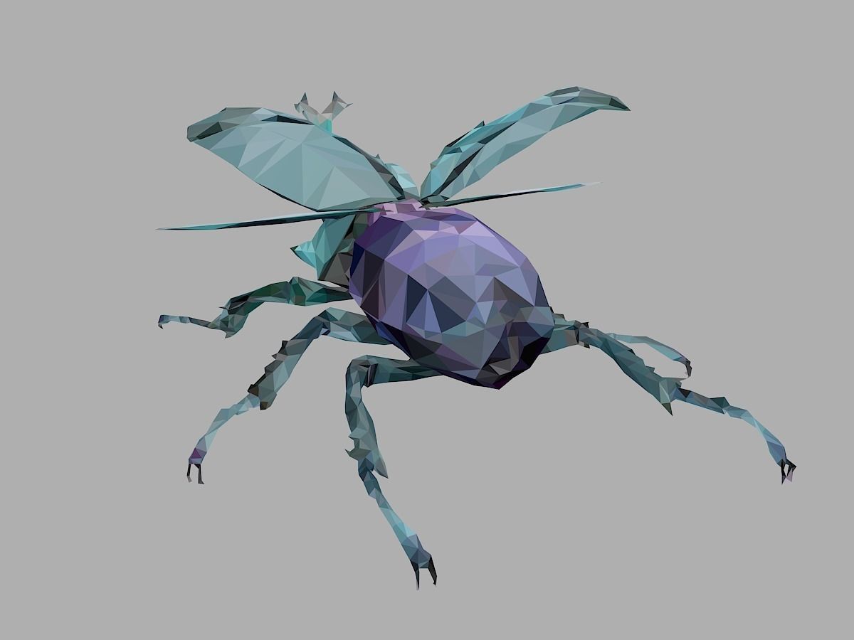 Chafer Firefly Beetle Low Polygon Art Insect Low-poly 3D model_14