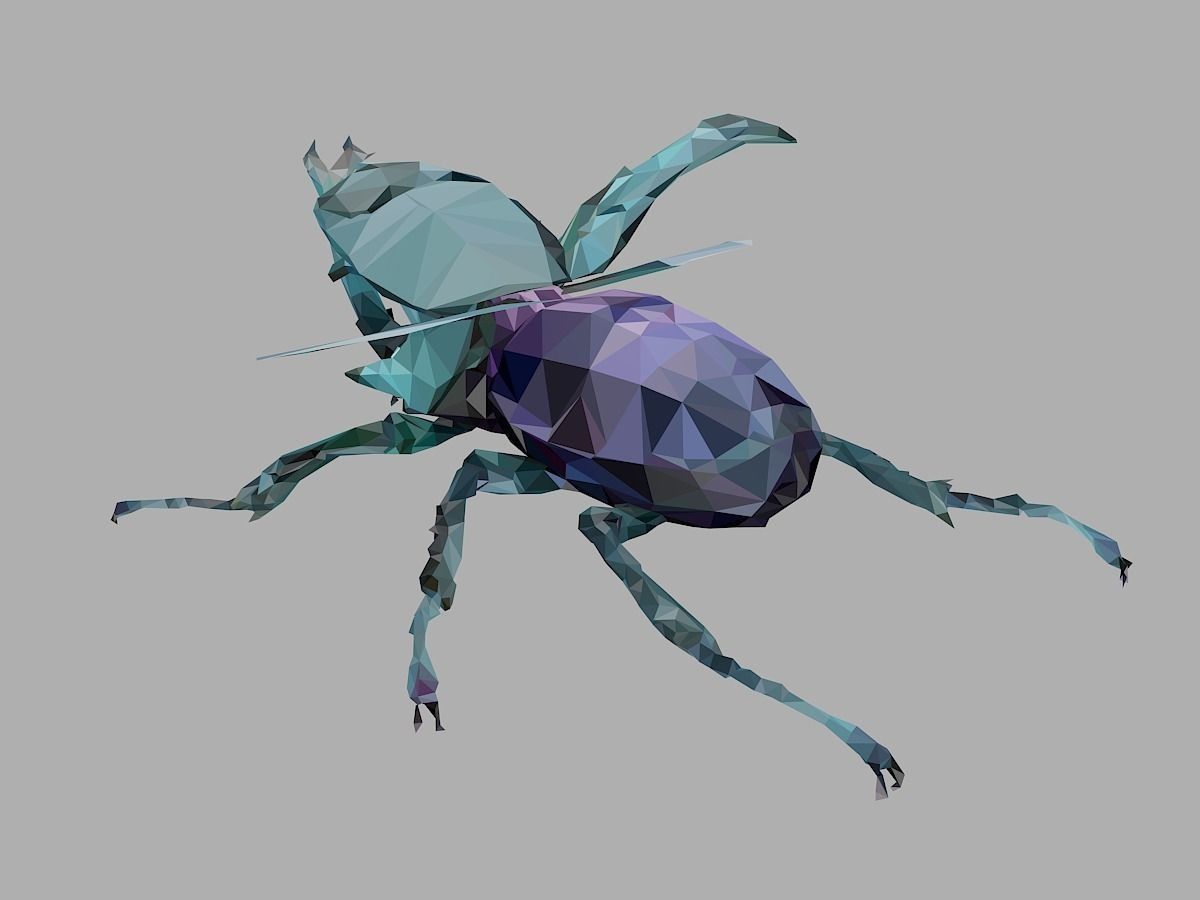 Chafer Firefly Beetle Low Polygon Art Insect Low-poly 3D model_13