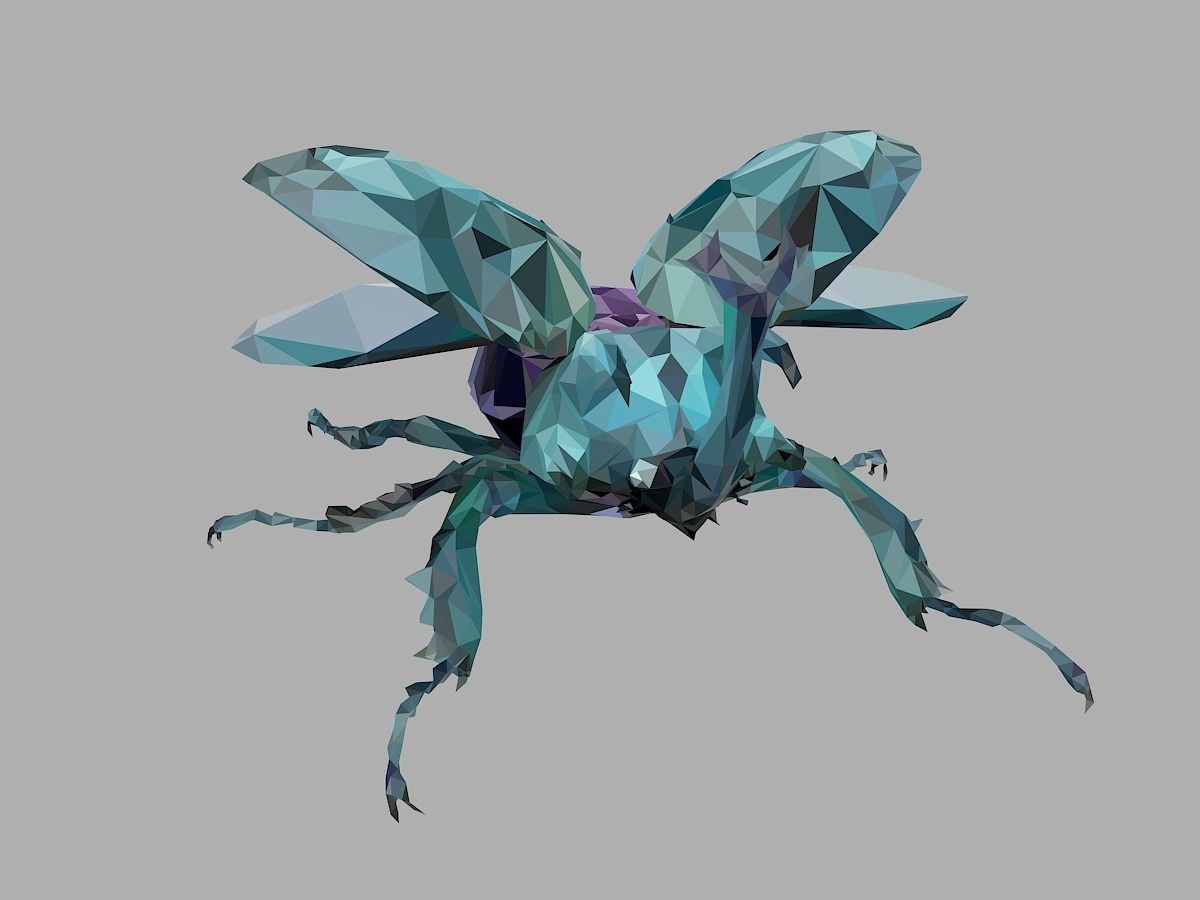 Chafer Firefly Beetle Low Polygon Art Insect Low-poly 3D model_4