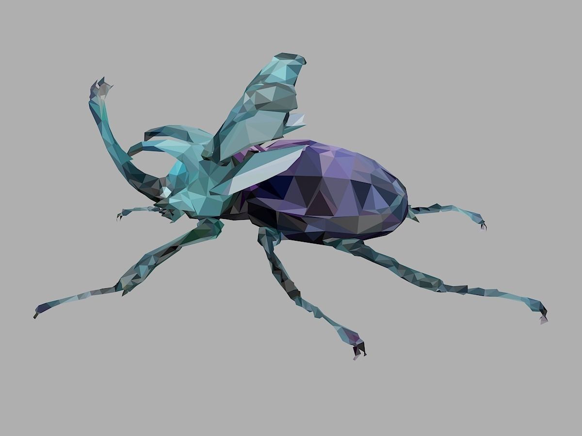 Chafer Firefly Beetle Low Polygon Art Insect Low-poly 3D model_7