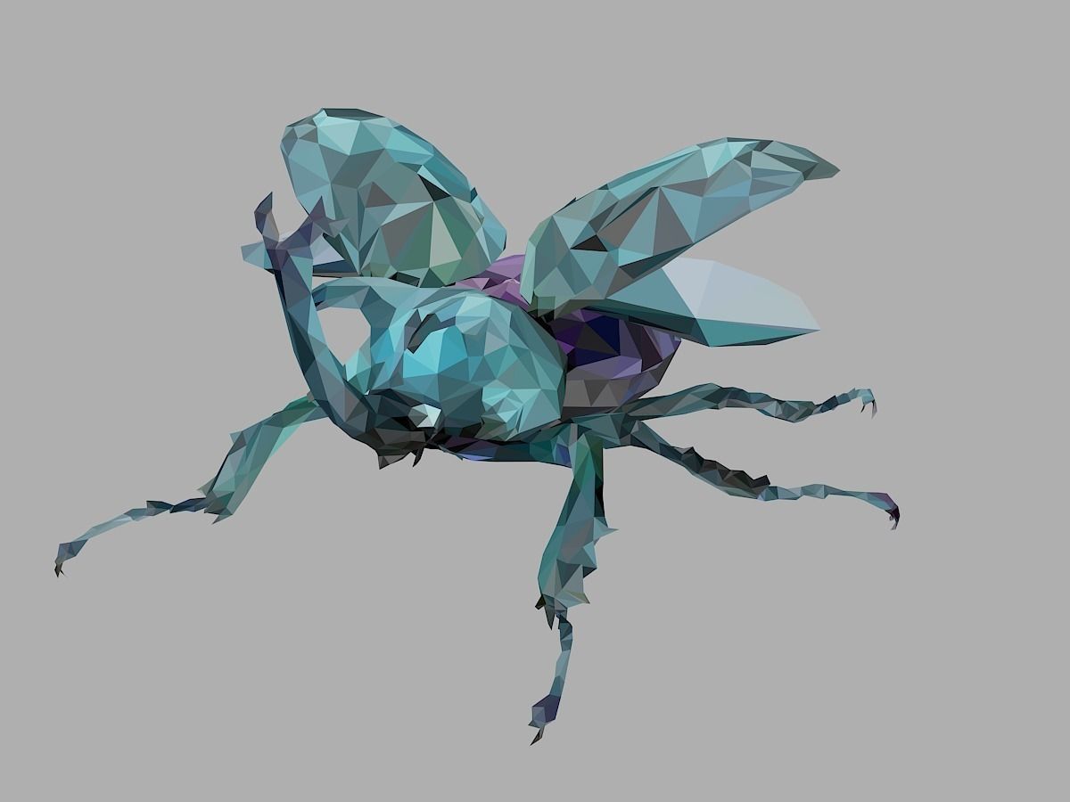 Chafer Firefly Beetle Low Polygon Art Insect Low-poly 3D model_6