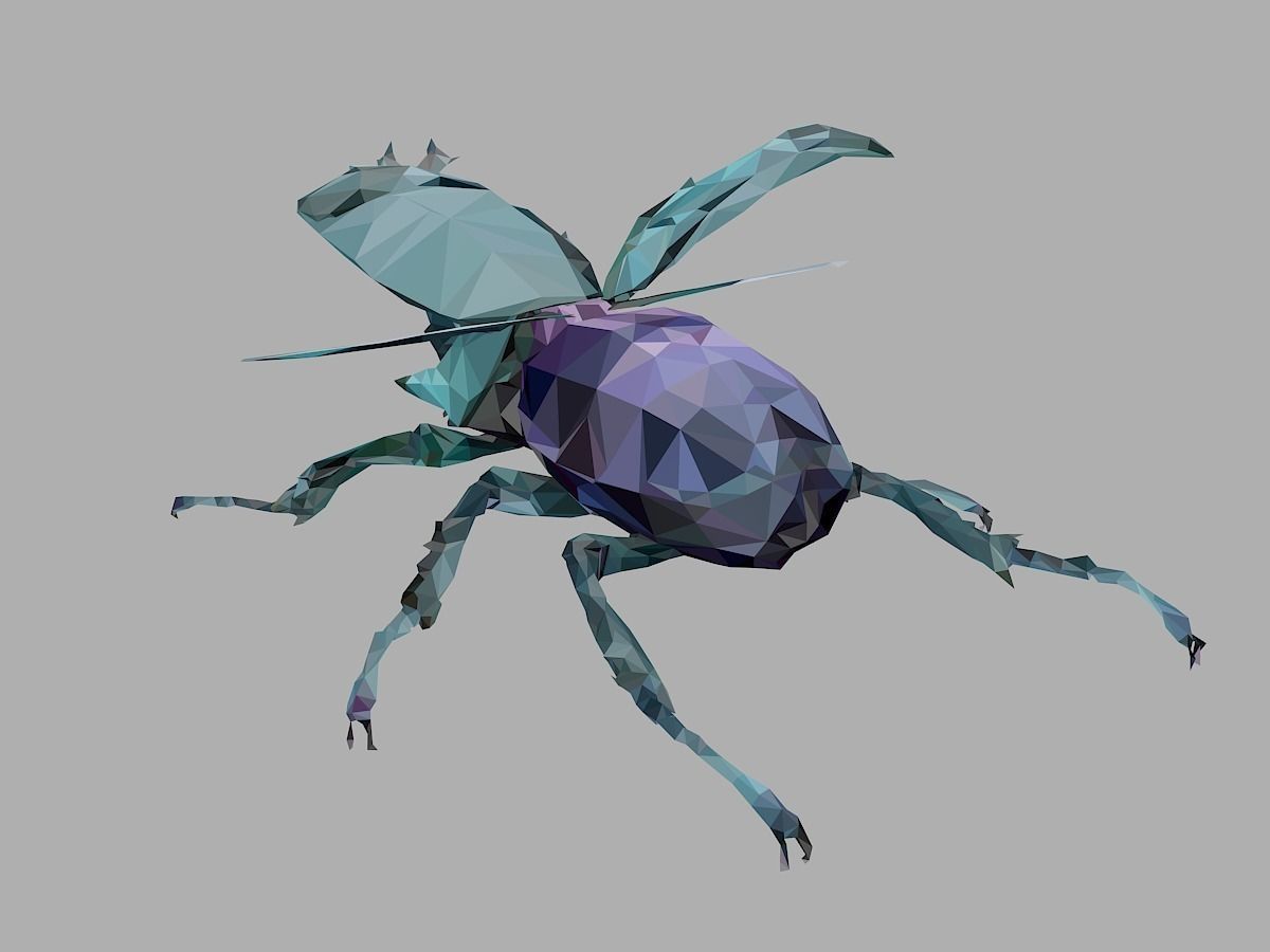 Chafer Firefly Beetle Low Polygon Art Insect Low-poly 3D model_17