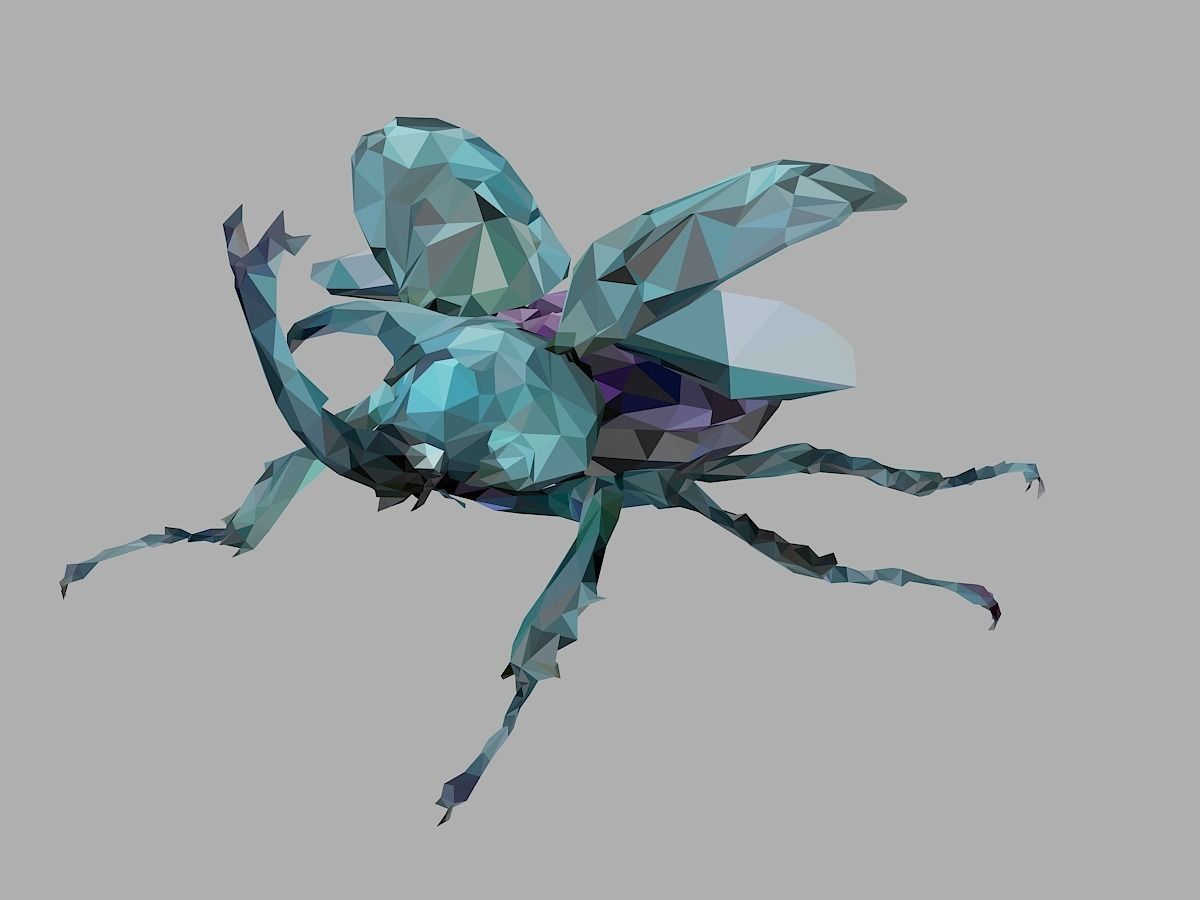 Chafer Firefly Beetle Low Polygon Art Insect Low-poly 3D model_11