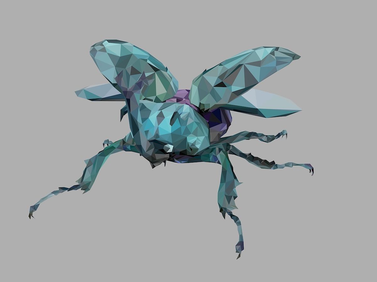 Chafer Firefly Beetle Low Polygon Art Insect Low-poly 3D model_5