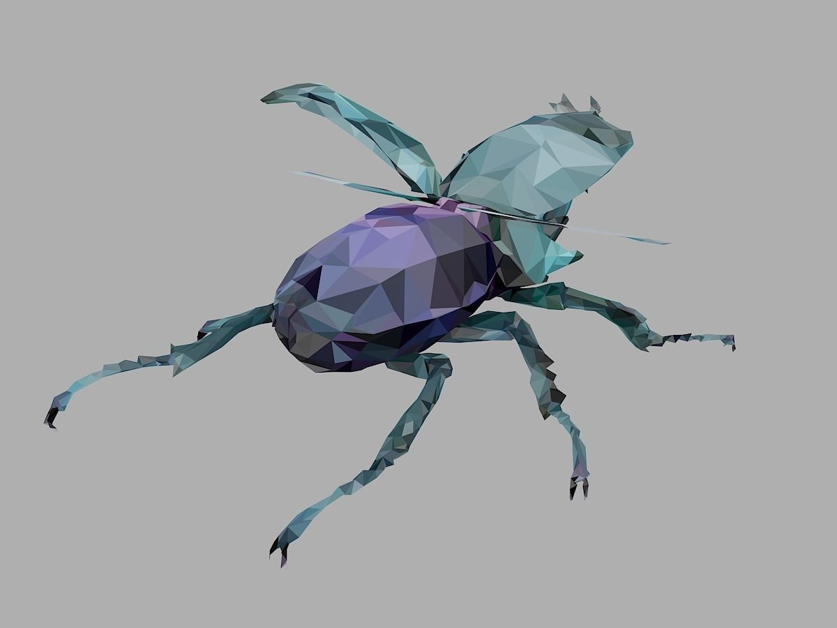 Chafer Firefly Beetle Low Polygon Art Insect Low-poly 3D model_22