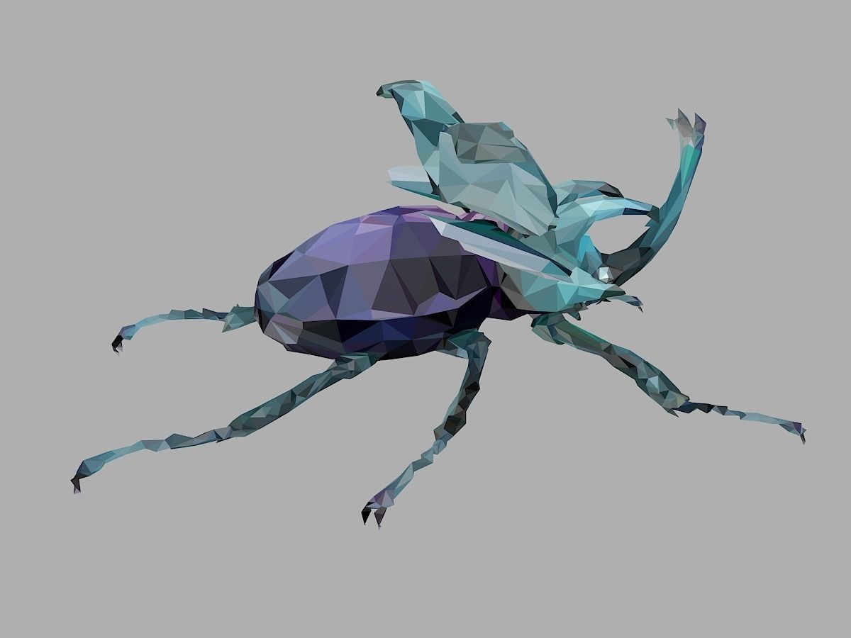 Chafer Firefly Beetle Low Polygon Art Insect Low-poly 3D model_25