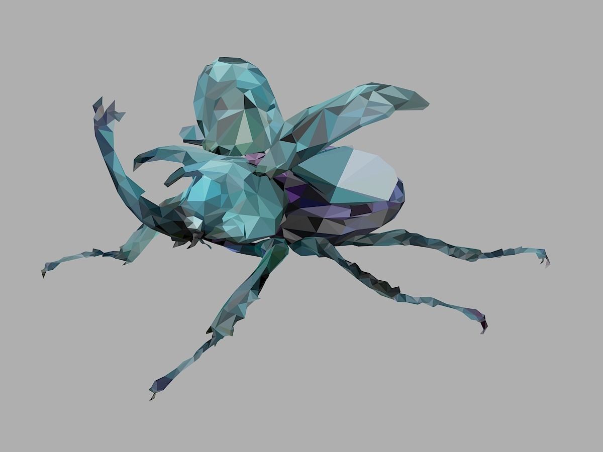 Chafer Firefly Beetle Low Polygon Art Insect Low-poly 3D model_9