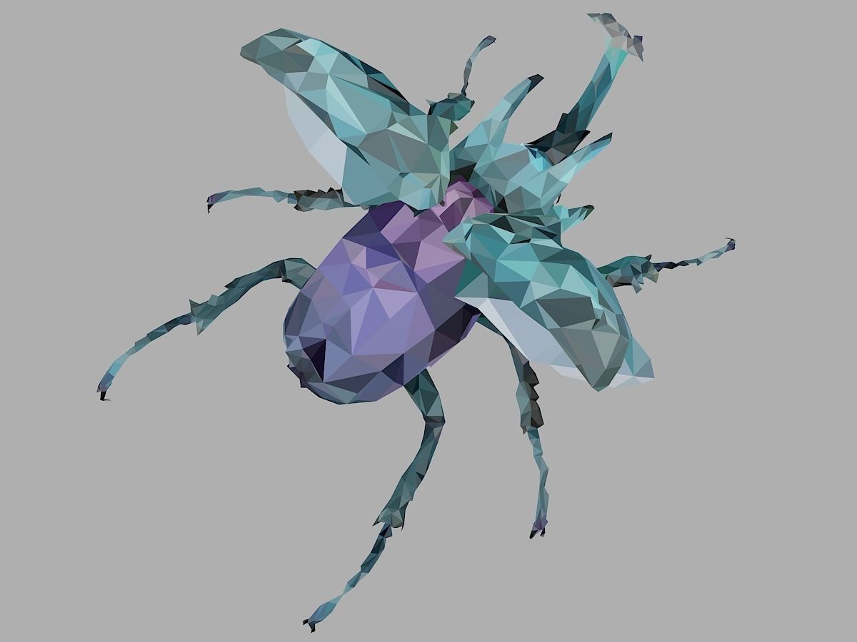 Chafer Firefly Beetle Low Polygon Art Insect Low-poly 3D model_0