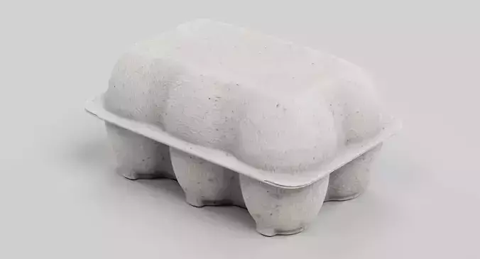Egg Box - Half Dozen Cardboard Egg Carton 3D model 5